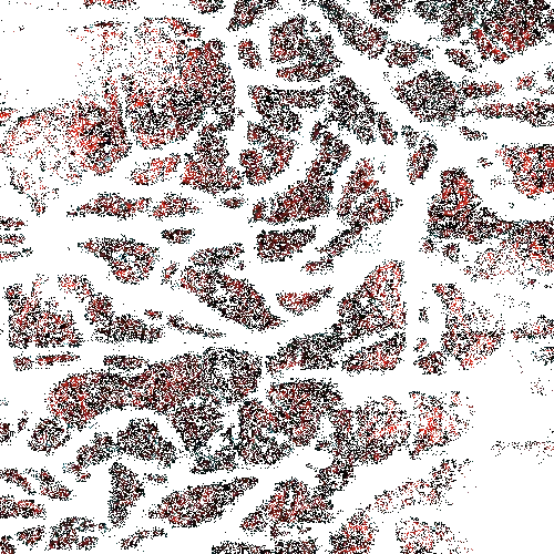 mit-researchers-defy-conventional-wisdom-unveil-self-organizing-laser-for-breakthrough-bioimaging