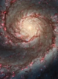 ngc-4654-a-galaxy-undergoing-cosmic-sculpting-by-galactic-forces