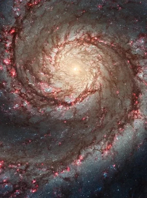 ngc-4654-a-galaxy-undergoing-cosmic-sculpting-by-galactic-forces