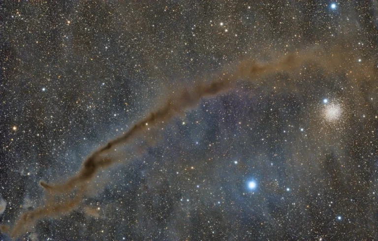 the-dark-doodad-nebula-drifts-through-southern-skies-a-glimpse-into-stellar-nurseries