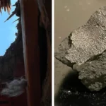 a-meteorite-that-punched-through-a-new-jersey-roof-offers-unprecedented-glimpse-into-primitive-asteroid-chemistry