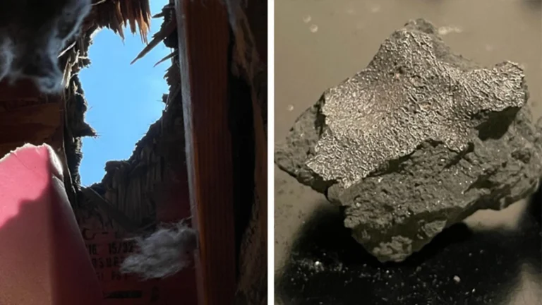 a-meteorite-that-punched-through-a-new-jersey-roof-offers-unprecedented-glimpse-into-primitive-asteroid-chemistry