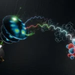 breakthrough-in-quantum-imaging-allows-researchers-to-map-three-dimensional-molecular-wavefunctions-using-laboratory-scale-technology