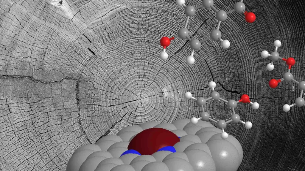 breakthrough-in-single-atom-catalysis-offers-new-path-for-converting-lignin-waste-into-high-value-aromatic-chemicals
