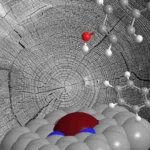 breakthrough-in-single-atom-catalysis-offers-new-path-for-converting-lignin-waste-into-high-value-aromatic-chemicals