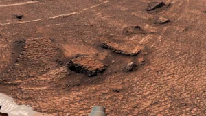 curiosity-rover-uncovers-vast-sea-of-polygons-in-martian-valley-hinting-at-complex-geological-processes