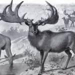 europes-lost-giants-unearthing-the-megafauna-that-rivaled-africas-largest-creatures