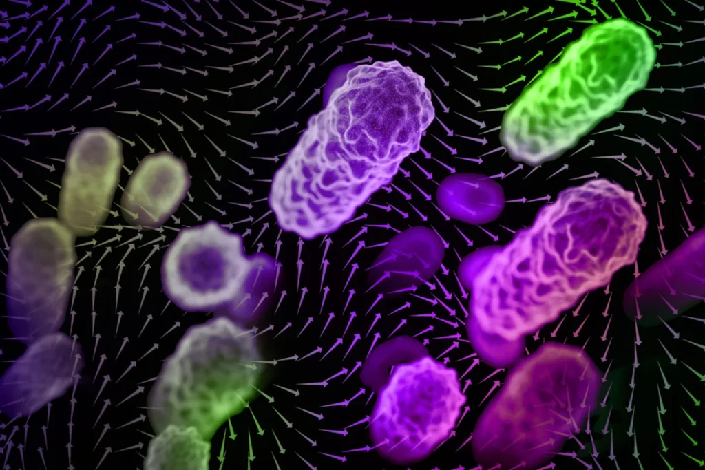 groundbreaking-research-unlocks-secrets-of-airborne-disease-transmission-highlighting-critical-role-of-local-airflow-patterns
