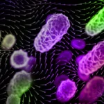 groundbreaking-research-unlocks-secrets-of-airborne-disease-transmission-highlighting-critical-role-of-local-airflow-patterns