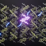 kyushu-university-researchers-achieve-breakthrough-in-solid-state-photo-upconversion-transforming-visible-sunlight-into-ultraviolet-light