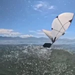 mit-and-epfl-engineers-unveil-groundbreaking-flapping-wing-robot-capable-of-seamless-aerial-and-aquatic-transitions