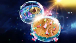 researchers-develop-biomimetic-nanoreactors-for-efficient-solar-to-chemical-energy-conversion-through-advanced-cellular-mimicry