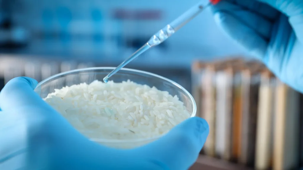 rice-grains-uncover-secret-to-next-generation-self-adapting-smart-materials-revolutionizing-robotics-and-protective-gear-design