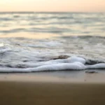 rising-salinity-driven-by-climate-change-threatens-microbial-diversity-in-freshwater-ecosystems-while-maintaining-overall-growth-rates