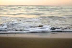 rising-salinity-driven-by-climate-change-threatens-microbial-diversity-in-freshwater-ecosystems-while-maintaining-overall-growth-rates