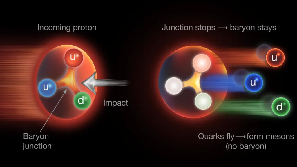 scientists-at-brookhaven-national-laboratory-unveil-evidence-that-gluon-junctions-carry-the-protons-fundamental-baryon-number