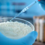 scientists-discover-a-strange-property-in-rice-and-turn-it-into-a-smart-material