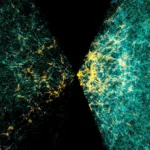 sloan-digital-sky-survey-v-data-release-20-ushers-in-a-new-era-of-global-sky-mapping-and-multi-wavelength-astronomy