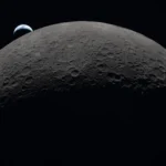 some-microbes-carried-by-human-explorers-may-survive-in-sheltered-shadowed-areas-near-the-moons-south-pole