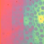 stanford-researchers-unveil-flexible-material-capable-of-rapid-microscopic-pattern-and-color-shifts
