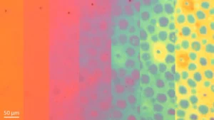 stanford-researchers-unveil-flexible-material-capable-of-rapid-microscopic-pattern-and-color-shifts