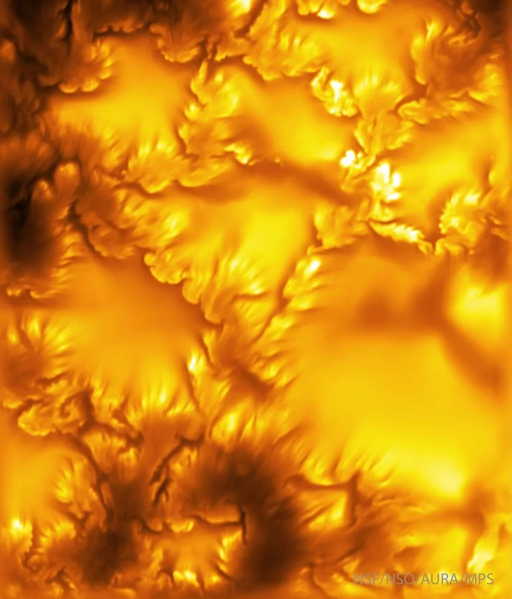 sunflowers-on-the-sun-reveal-instability-in-unprecedented-detail