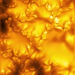 sunflowers-on-the-sun-reveal-instability-in-unprecedented-detail