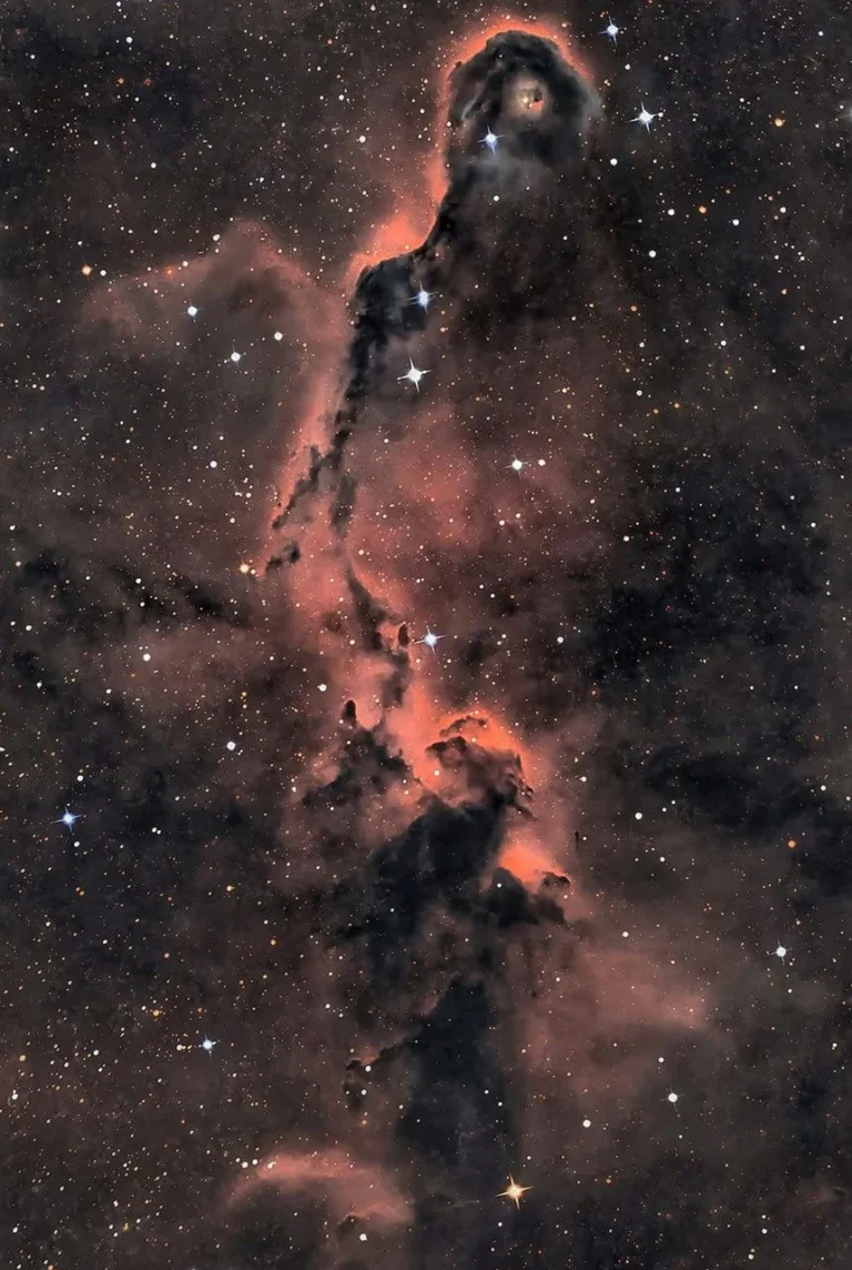 the-elephants-trunk-nebula-winds-through-star-formation-in-cepheus