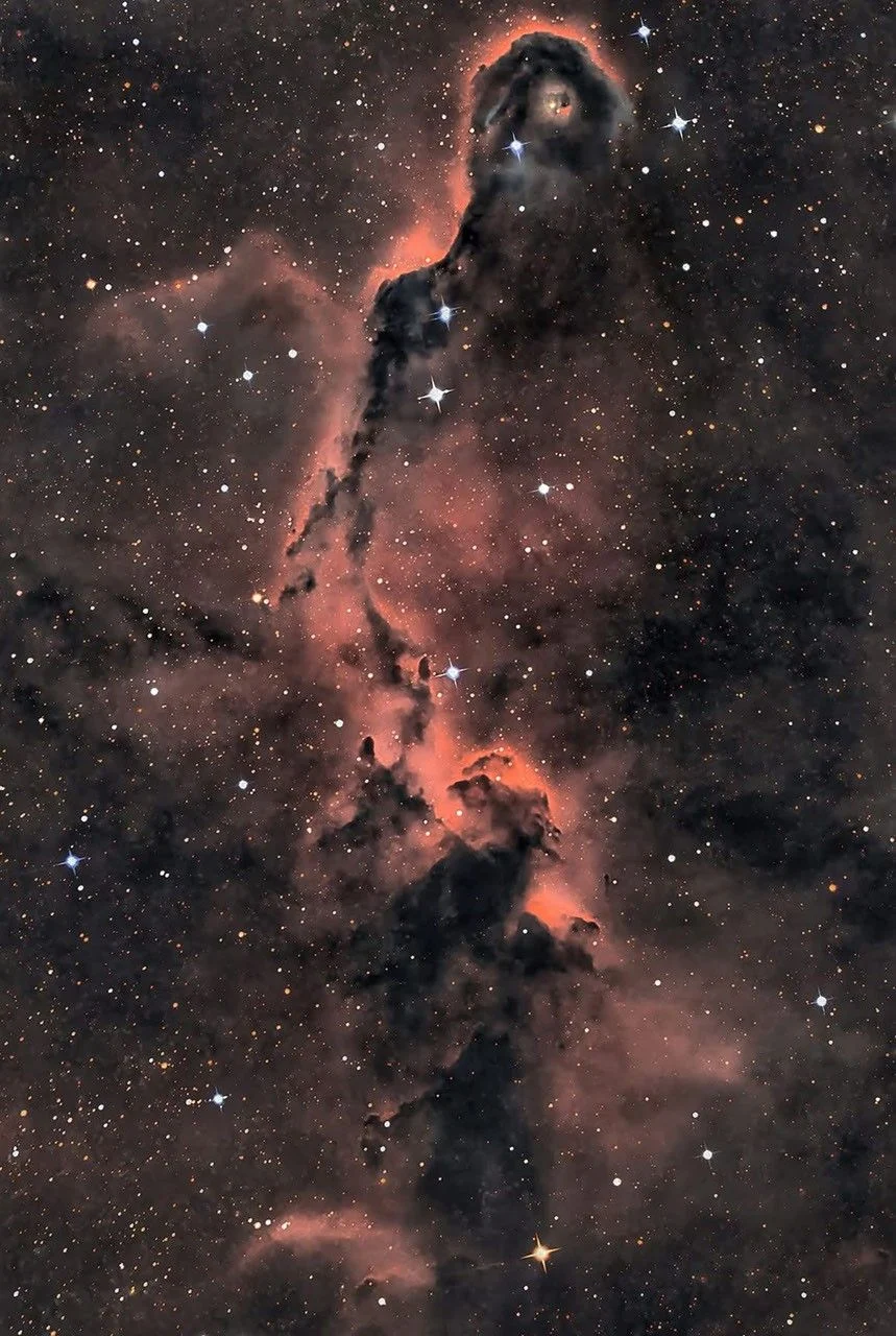 the-elephants-trunk-nebula-winds-through-star-formation-in-cepheus