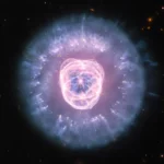the-james-webb-space-telescope-unveils-the-lion-nebula-in-unprecedented-infrared-detail