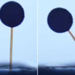 tiny-magnetic-grippers-pave-the-way-for-microscopic-robotic-applications