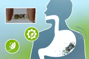 breakthrough-bioresorbable-batteries-promise-safer-ingestible-medical-devices-and-enhanced-patient-care