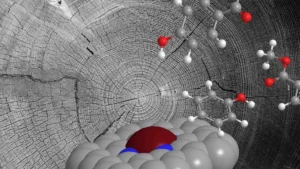 breakthrough-single-atom-catalyst-unlocks-sustainable-path-for-converting-lignin-waste-into-high-value-chemicals