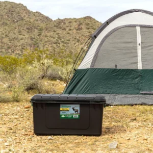 fall-car-camping-mastering-the-art-of-overnight-adventures-in-your-vehicle