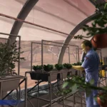 fungi-earths-microscopic-allies-poised-to-cultivate-life-on-mars-and-the-moon