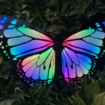 maker-faire-bay-area-prepares-for-milestone-20th-anniversary-with-live-preview-of-cutting-edge-ai-and-off-grid-communication-projects