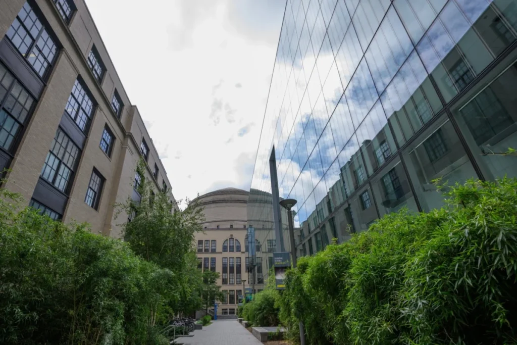 mit-quantum-initiative-launches-new-postdoctoral-fellowship-program-to-drive-interdisciplinary-innovation-in-quantum-science-and-technology