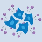 new-method-allows-scientists-to-follow-gene-activity-over-time-in-the-same-cells