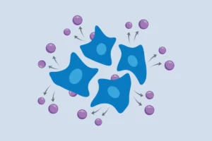 new-method-allows-scientists-to-follow-gene-activity-over-time-in-the-same-cells