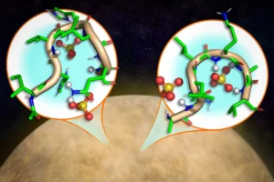peptides-maintain-structural-stability-and-fold-into-functional-shapes-within-concentrated-sulfuric-acid-environments-similar-to-venusian-clouds