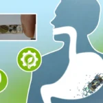 revolutionary-bioresorbable-batteries-promise-safer-smarter-ingestible-medical-devices-and-reduced-environmental-impact