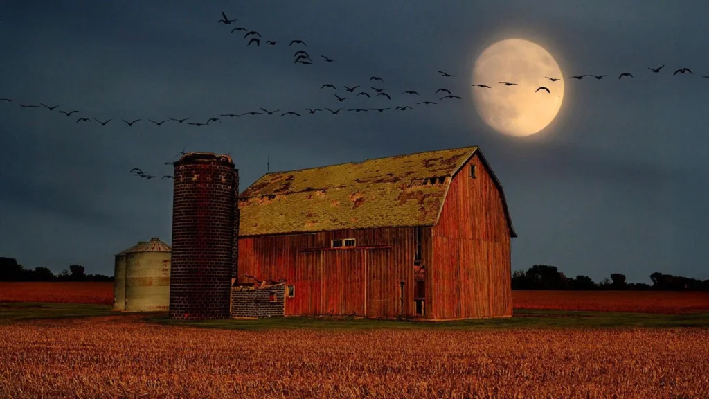 september-skywatching-promises-a-celestial-spectacle-with-venus-at-peak-brilliance-a-harvest-moon-paired-with-outer-planets-and-the-seasonal-equinox
