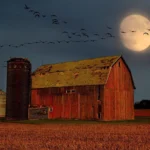 september-skywatching-promises-a-celestial-spectacle-with-venus-at-peak-brilliance-a-harvest-moon-paired-with-outer-planets-and-the-seasonal-equinox