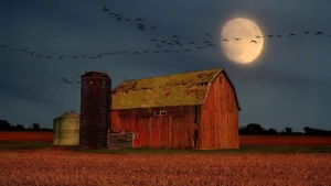 september-skywatching-promises-a-celestial-spectacle-with-venus-at-peak-brilliance-a-harvest-moon-paired-with-outer-planets-and-the-seasonal-equinox