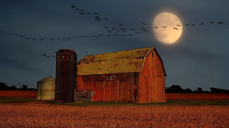 september-skywatching-promises-a-celestial-spectacle-with-venus-at-peak-brilliance-a-harvest-moon-paired-with-outer-planets-and-the-seasonal-equinox