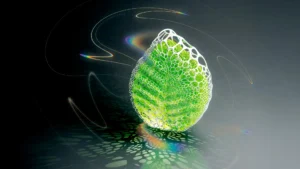 structural-whiteness-and-biomimetic-engineering-offer-sustainable-alternatives-to-titanium-dioxide-and-pfas-chemicals