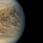 the-enigmatic-ultraviolet-absorber-of-venus-new-constraints-emerge-from-laboratory-inspired-analysis