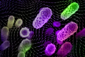 the-importance-of-indoor-airflow-patterns-in-spreading-airborne-disease