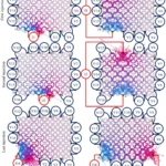 full-field-damage-monitoring-in-architected-lattices-using-in-situ-electrical-impedance-tomography