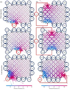 full-field-damage-monitoring-in-architected-lattices-using-in-situ-electrical-impedance-tomography